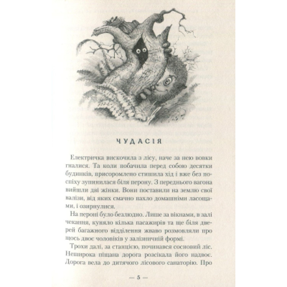 Книга Бухтик з тихого затону - Володимир Рутківський А-ба-ба-га-ла-ма-га (9786175850268)