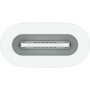 Адаптер Apple USB-C to Apple Pencil Adapter (MWML3ZM/A)