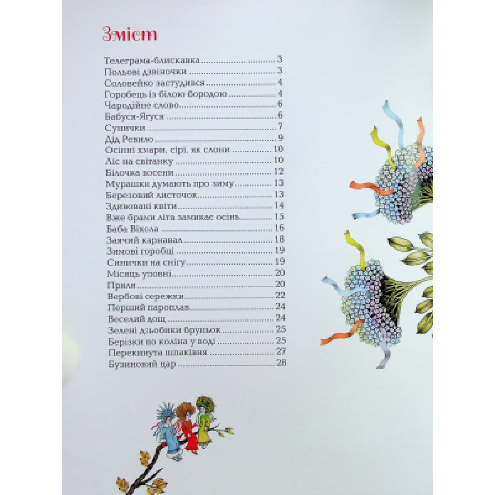 Книга Бузиновий цар - Ліна Костенко А-ба-ба-га-ла-ма-га (9786175853757)