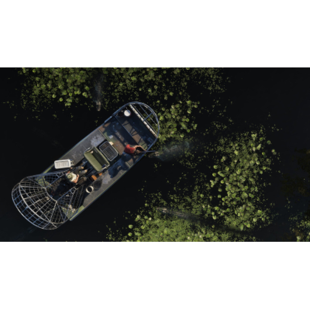 Гра Xbox Grand Theft Auto VI, код активації (5026555370080)