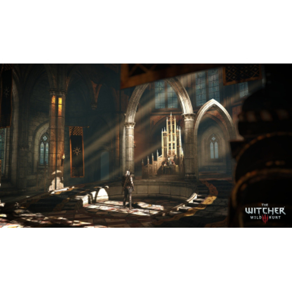 Гра Sony The Witcher 3 Wild Hunt Complete Edition + 10th Anniversary Steelbook, BD диск (5908305250463)