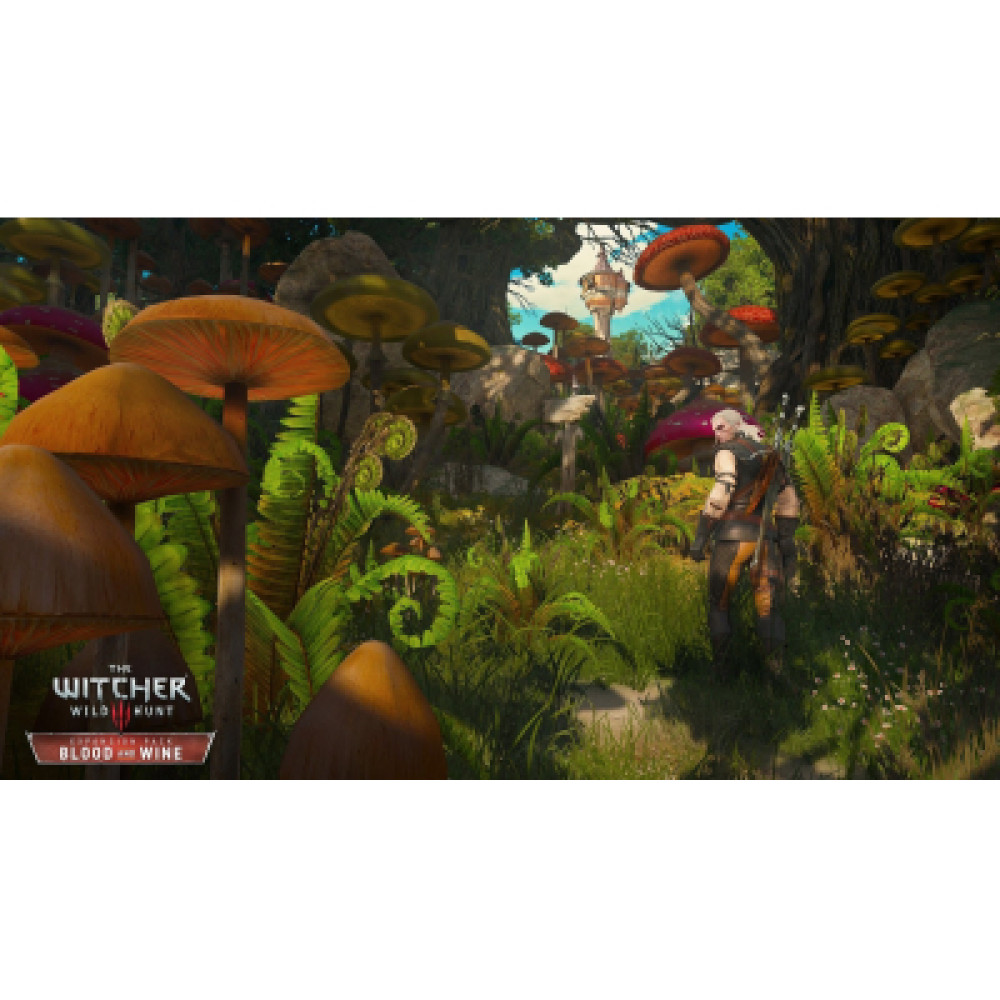 Гра Sony The Witcher 3 Wild Hunt Complete Edition + 10th Anniversary Steelbook, BD диск (5908305250463)