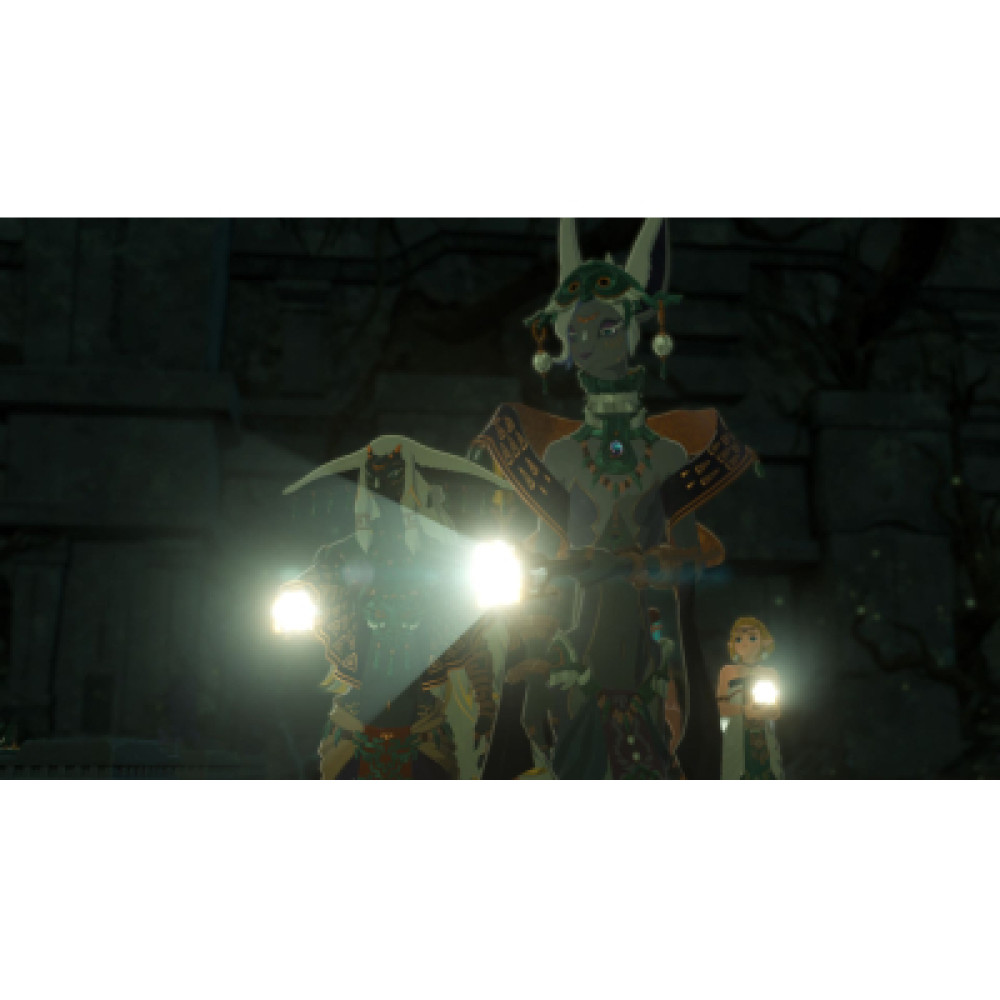 Гра Nintendo HYRULE WARRIORS AGE OF IMPRISONMENT, картридж (0045496313500)