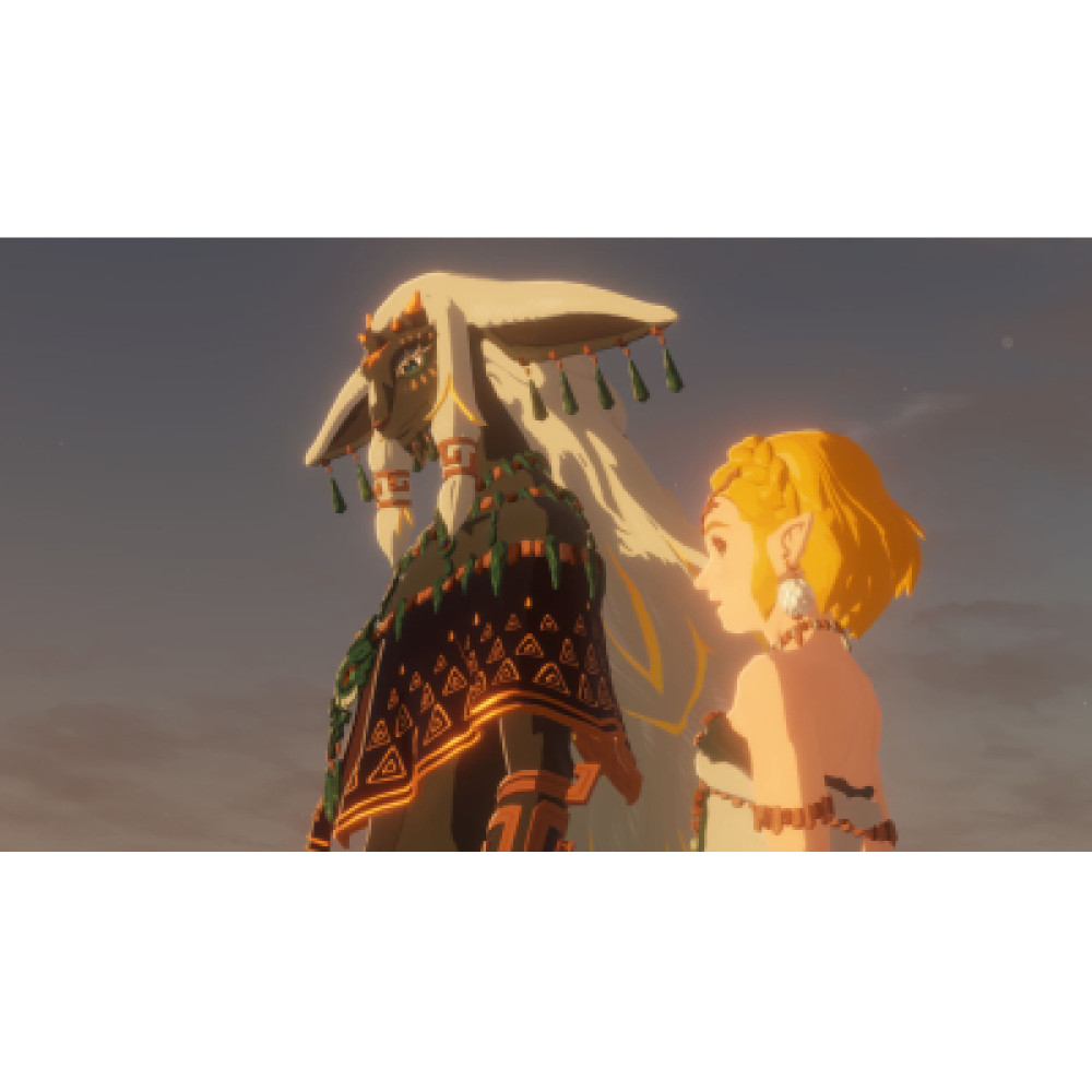Гра Nintendo HYRULE WARRIORS AGE OF IMPRISONMENT, картридж (0045496313500)