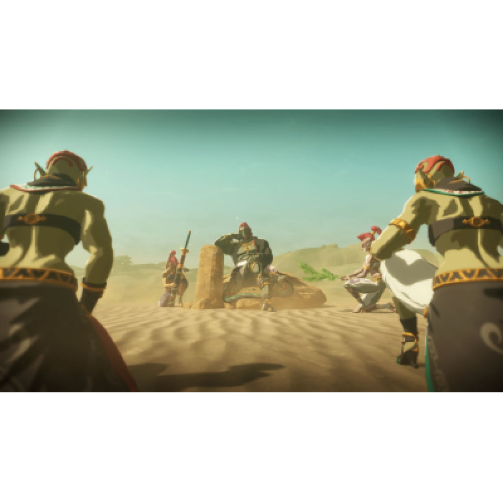 Гра Nintendo HYRULE WARRIORS AGE OF IMPRISONMENT, картридж (0045496313500)
