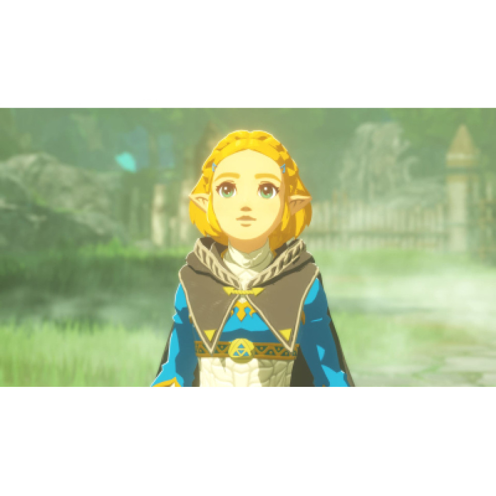 Гра Nintendo HYRULE WARRIORS AGE OF IMPRISONMENT, картридж (0045496313500)
