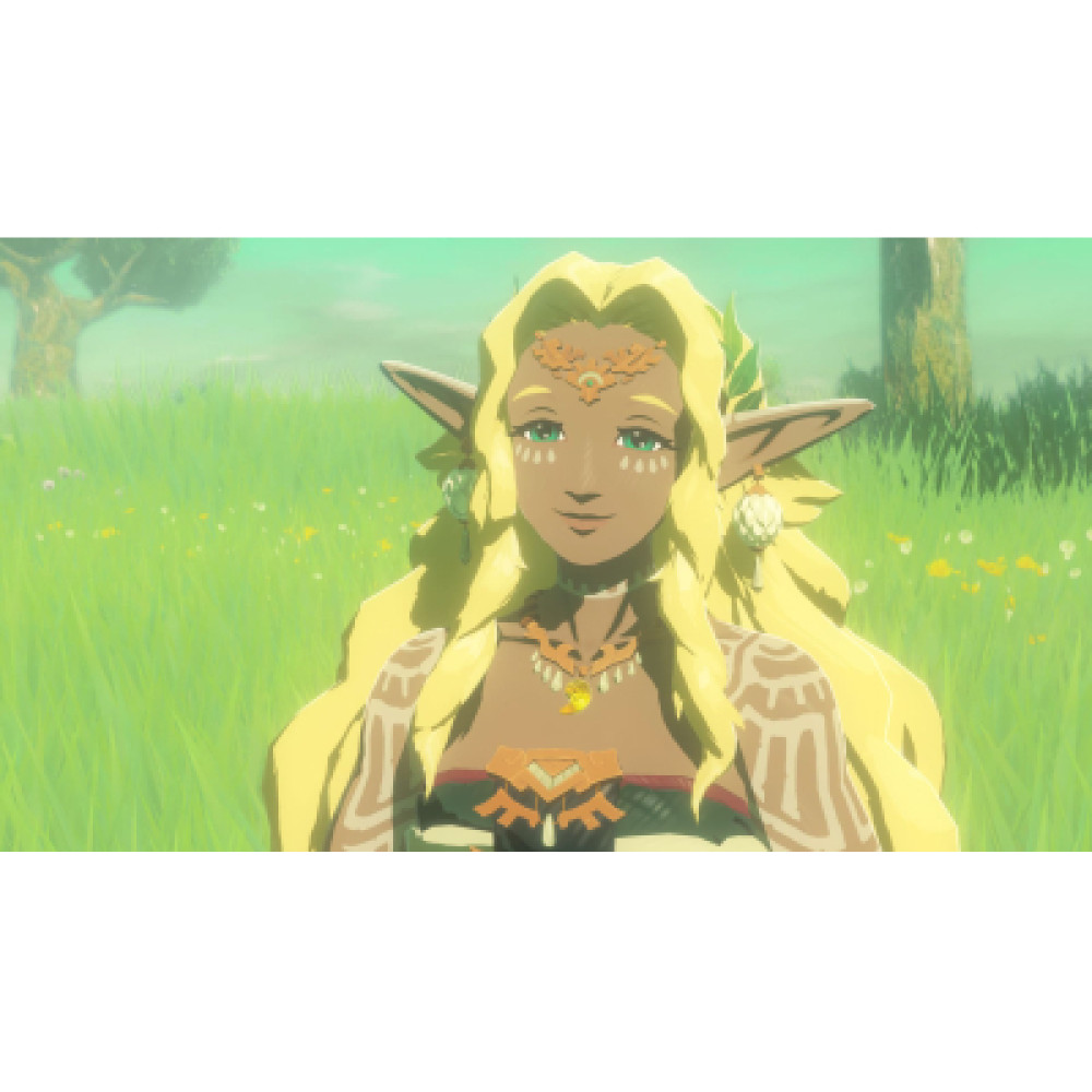 Гра Nintendo HYRULE WARRIORS AGE OF IMPRISONMENT, картридж (0045496313500)
