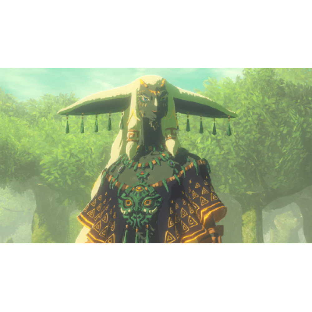 Гра Nintendo HYRULE WARRIORS AGE OF IMPRISONMENT, картридж (0045496313500)