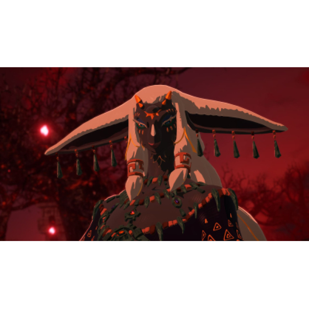Гра Nintendo HYRULE WARRIORS AGE OF IMPRISONMENT, картридж (0045496313500)